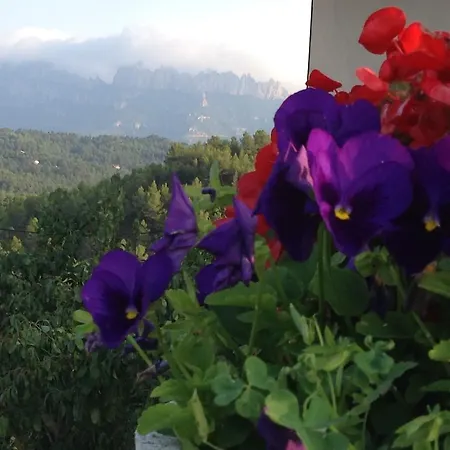 Castell De Guardiola Bed and breakfast